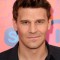 David Boreanaz Photo