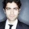 Adrian Grenier Photo