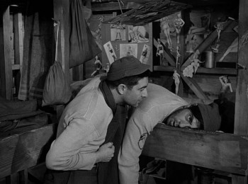 Stalag 17 (1953) download