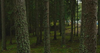 Utøya: July 22 (2018) download