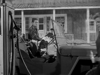 Bait (1954) download