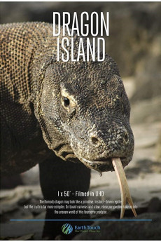 Dragon Island (2016) download