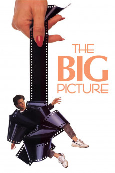 The Big Picture (2022) download