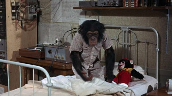 The Monkey's Uncle (1965) download