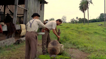 O Menino da Porteira (2009) download