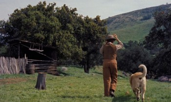 Old Yeller (1957) download