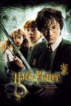 Harry Potter and the Chamber of Secrets (2022) download