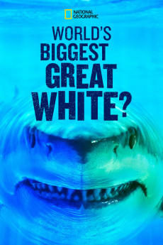 World's Biggest Great White Shark (2022) download