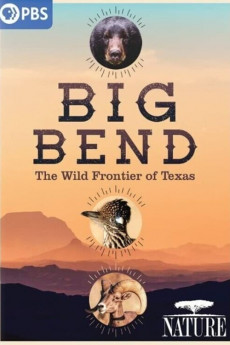 Nature Big Bend: The Wild Frontier of Texas (2022) download