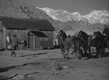 King of the Pecos (1936) download