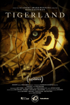 Tigerland (2022) download