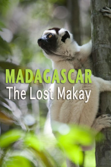 Madagascar: The Lost Makay (2022) download