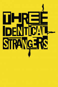 Three Identical Strangers (2022) download