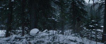 Hold the Dark (2018) download