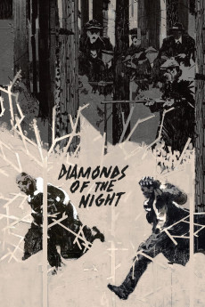 Diamonds of the Night (2022) download