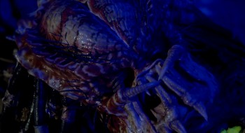 Predator 2 (1990) download