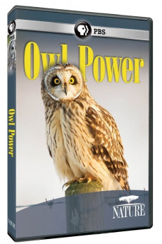 Nature Owl Power (2015) download